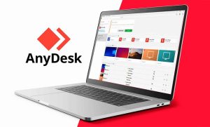 AnyDesk + Resetterv 1