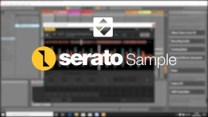 Serato Sample 2023 1