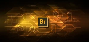 Adobe Bridge CC 2024 1