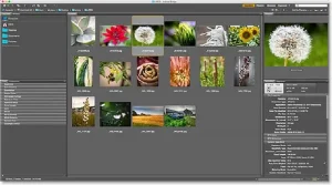 Adobe Bridge CC 2024 2