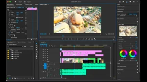 Adobe Premiere Pro CC 2024 2