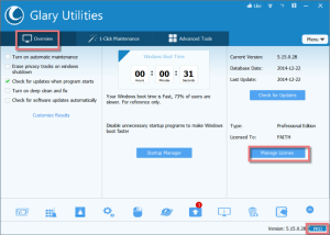 Glary Utilities Pro 2