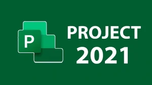 Microsoft Project Professional 2021 1